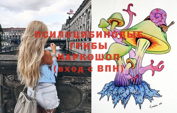 крисы Аркадак