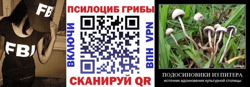 Псилоцибиновые грибы Psilocybe  Осинники 